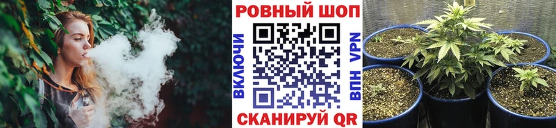 Купить закладку Марихуана АМФ Меф мяу мяу Зима