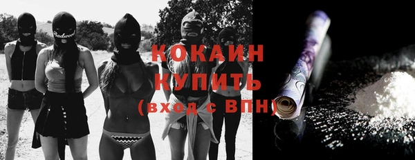гашик Ладушкин