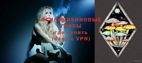 гашик Ладушкин
