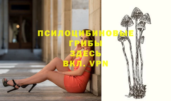 гашик Ладушкин