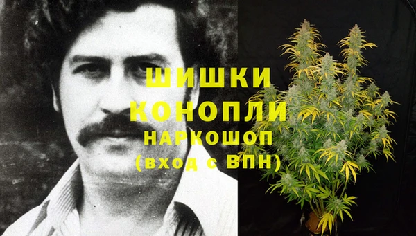 гашик Ладушкин