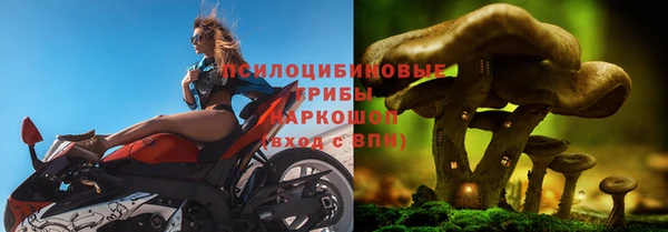 шишки Лагань