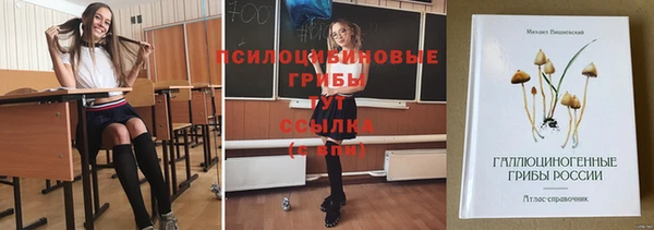 гашик Ладушкин