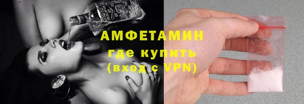 шишки Лагань