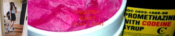 шишки Лагань