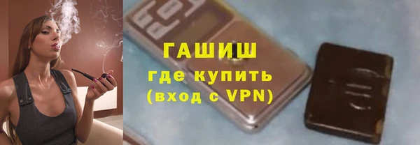гашик Ладушкин