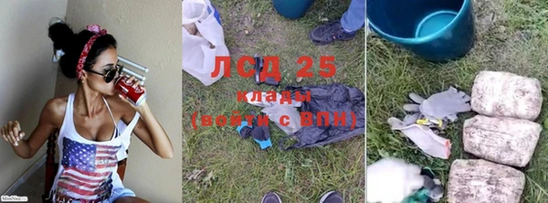 гашик Ладушкин