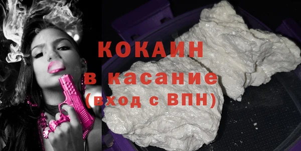 шишки Лагань