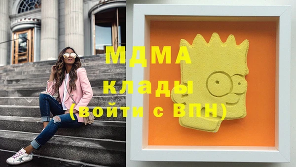 гашик Ладушкин