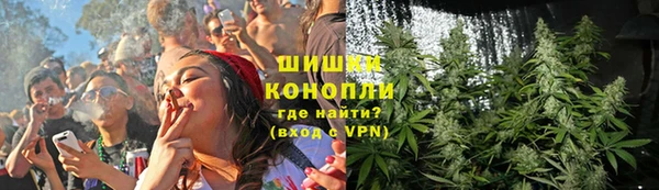 гашик Ладушкин