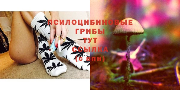 шишки Лагань