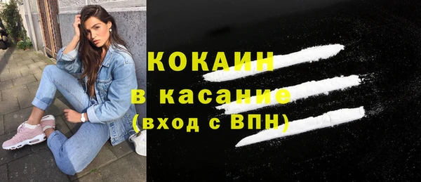 гашик Ладушкин