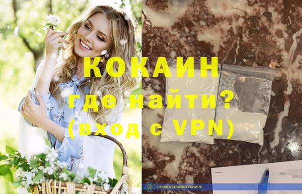 шишки Лагань