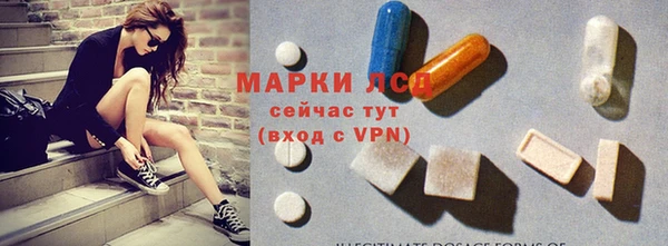гашик Ладушкин