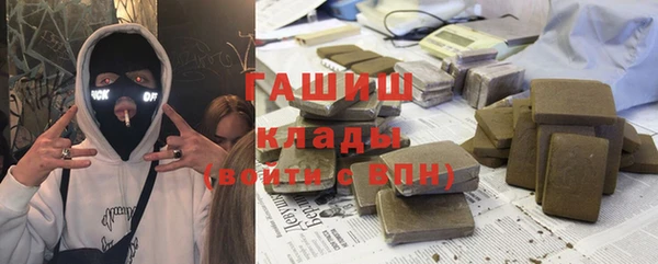 гашик Ладушкин