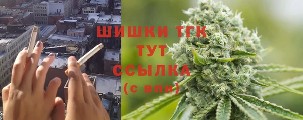 шишки Лагань
