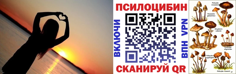 Купить закладки  Зима  Галлюциногенные грибы Psilocybe 